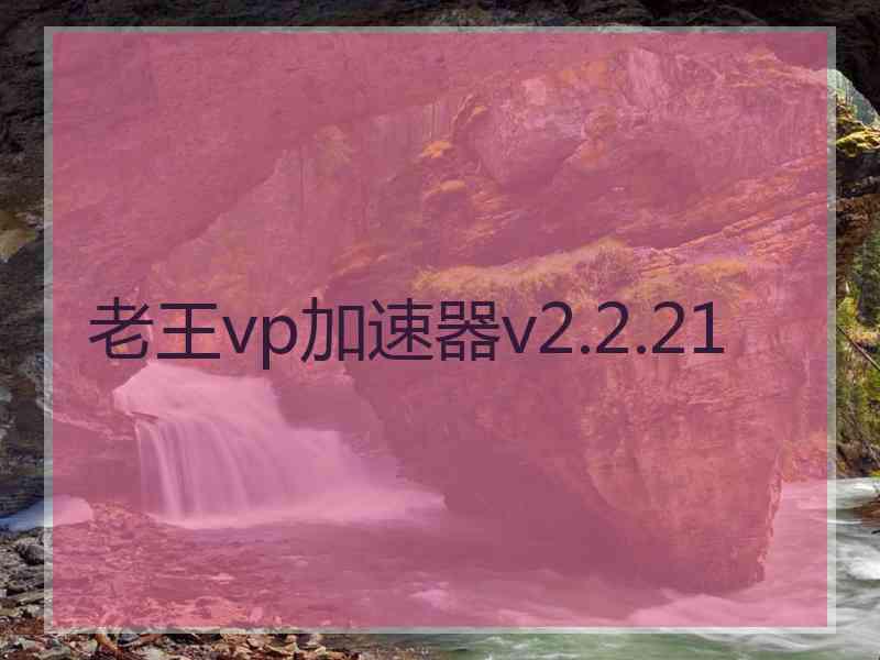 老王vp加速器v2.2.21