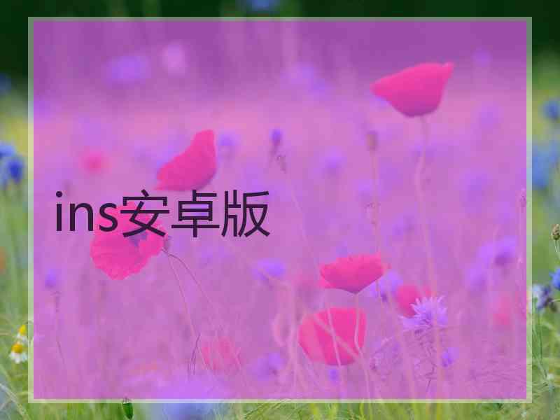 ins安卓版