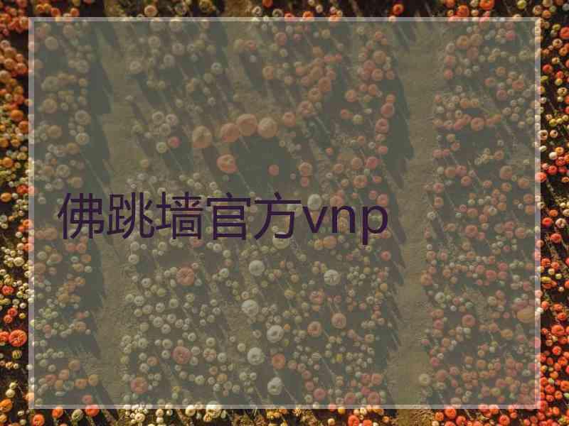 佛跳墙官方vnp
