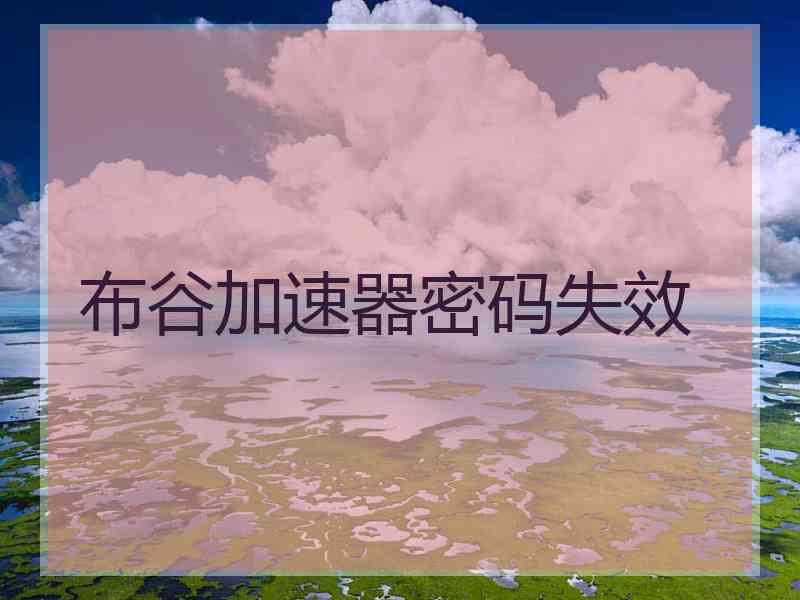 布谷加速器密码失效