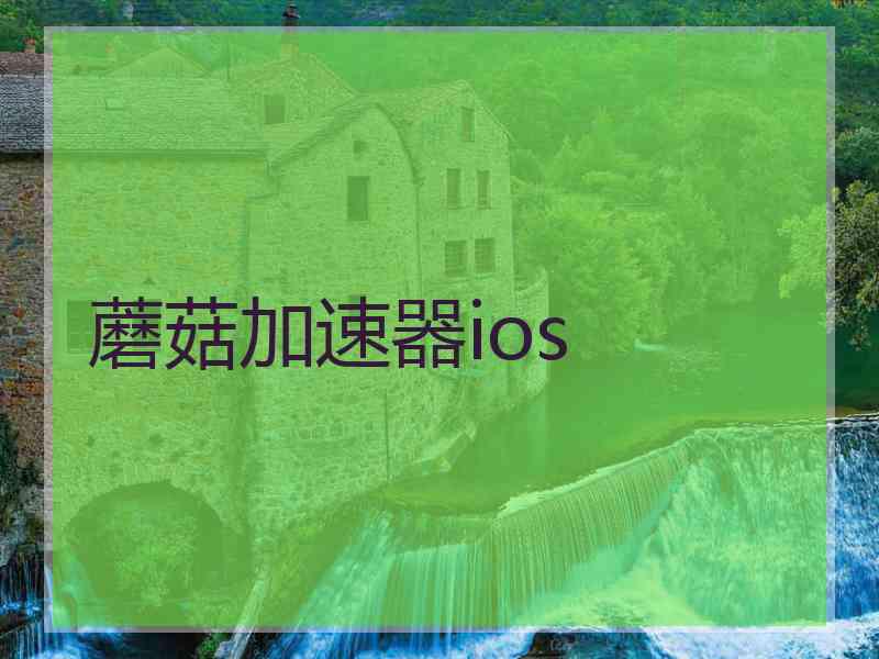 蘑菇加速器ios