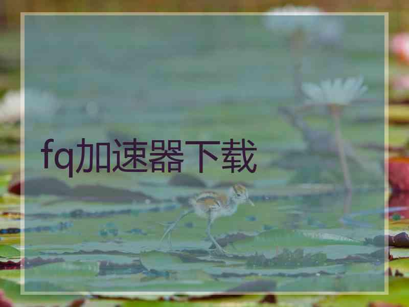 fq加速器下载