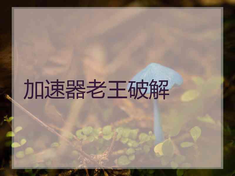 加速器老王破解