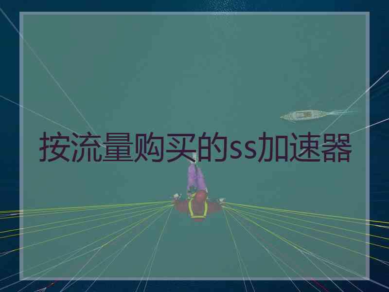 按流量购买的ss加速器