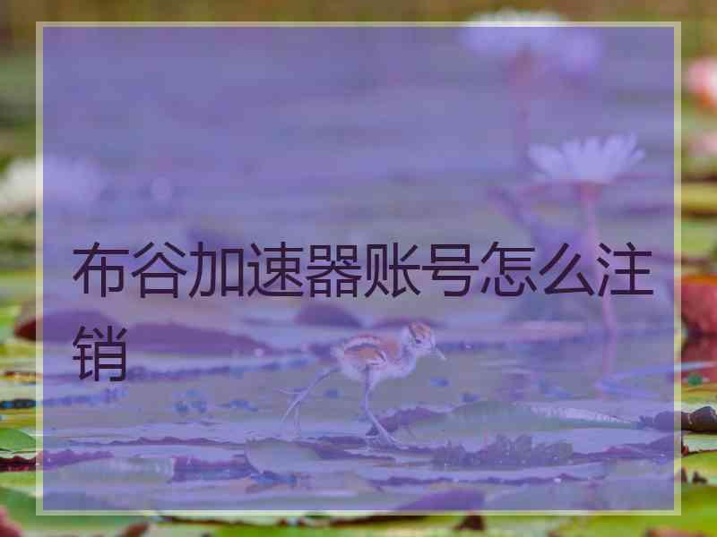 布谷加速器账号怎么注销
