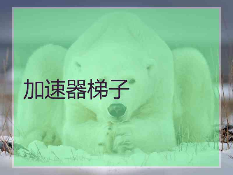 加速器梯子