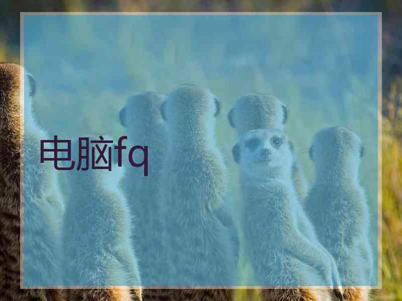 电脑fq