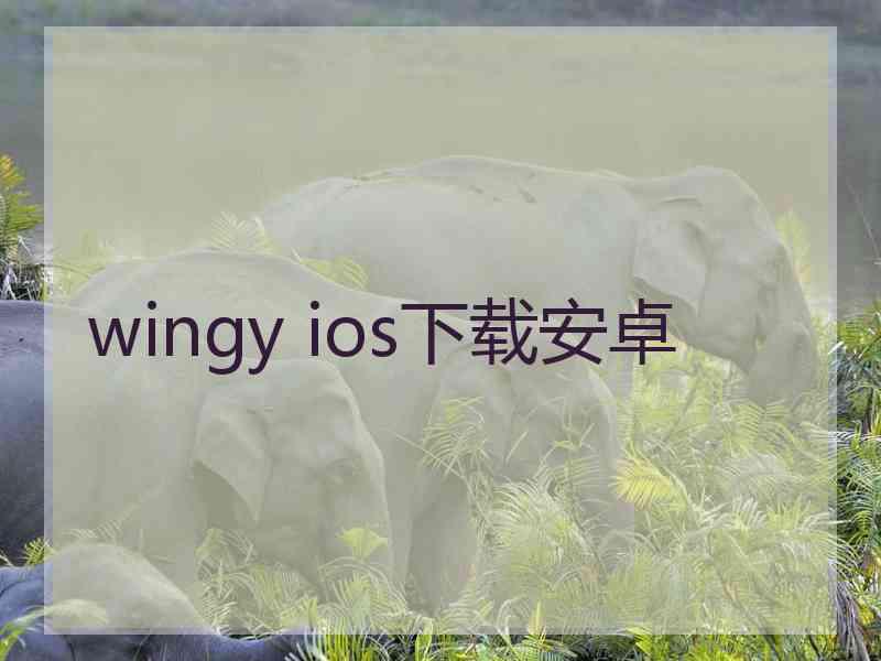 wingy ios下载安卓