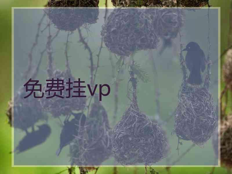 免费挂vp