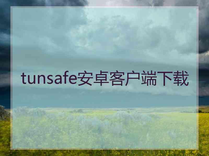 tunsafe安卓客户端下载