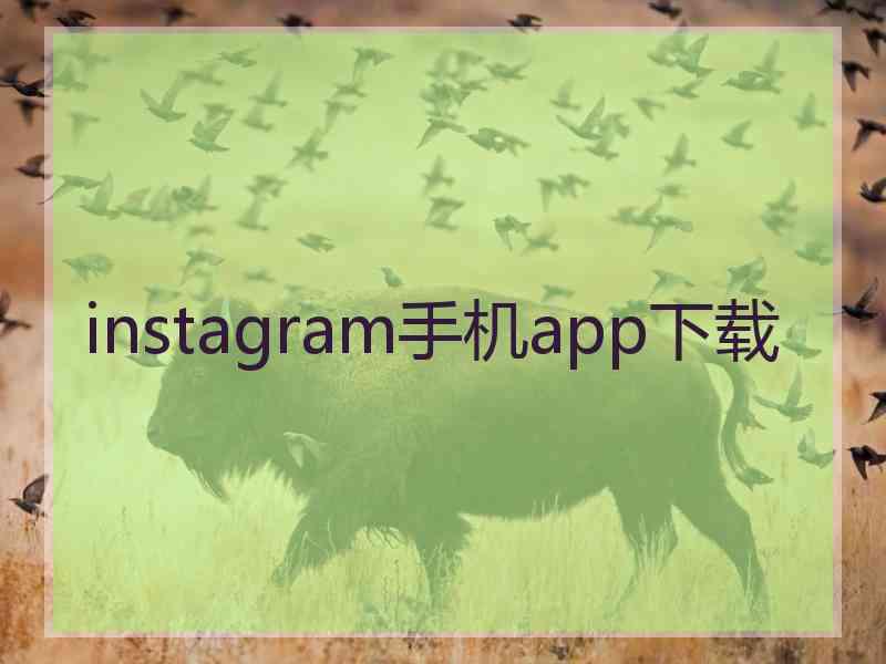 instagram手机app下载