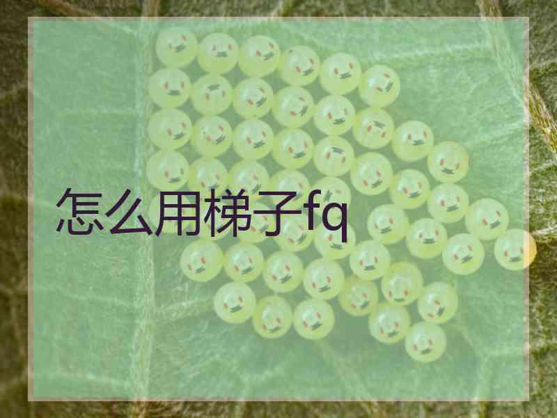 怎么用梯子fq