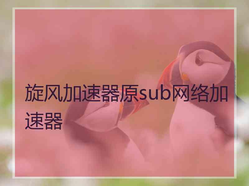 旋风加速器原sub网络加速器