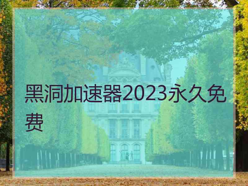 黑洞加速器2023永久免费