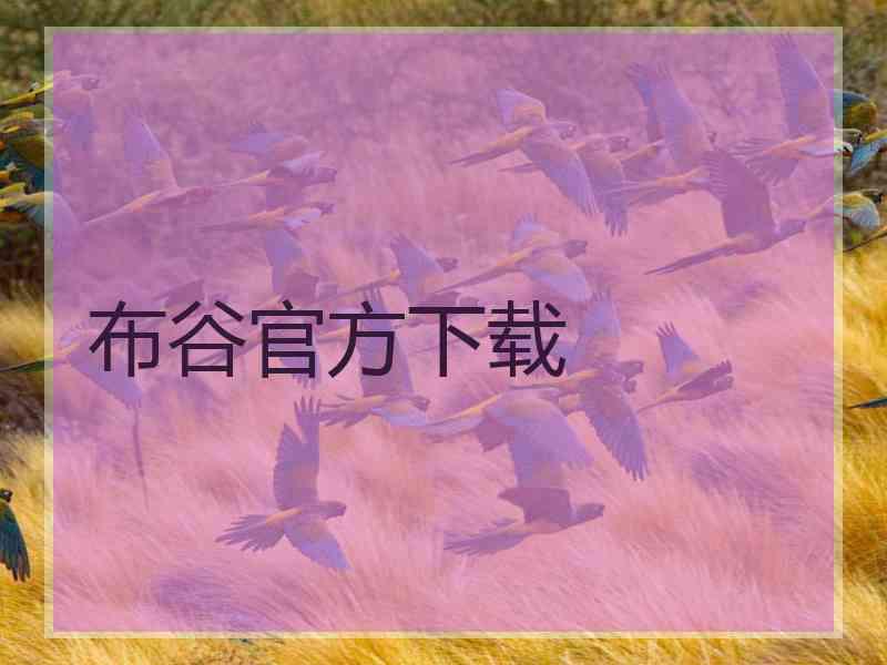 布谷官方下载