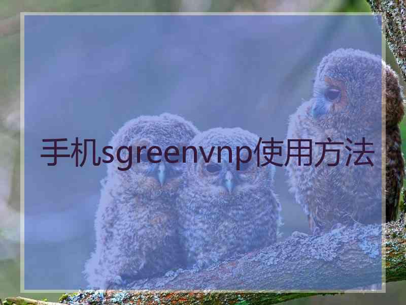 手机sgreenvnp使用方法