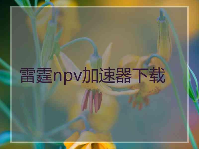 雷霆npv加速器下载