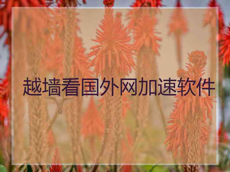 越墙看国外网加速软件